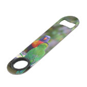 Parrots colorés Arc-en-ciel Lorikeet Manger (Dos Angle)