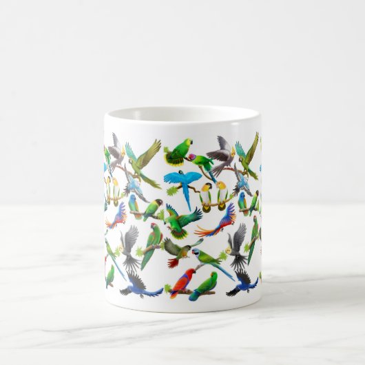 Parrots Galore Mok (Center)