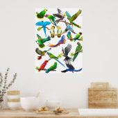 Parrots Galore Poster (Keuken)