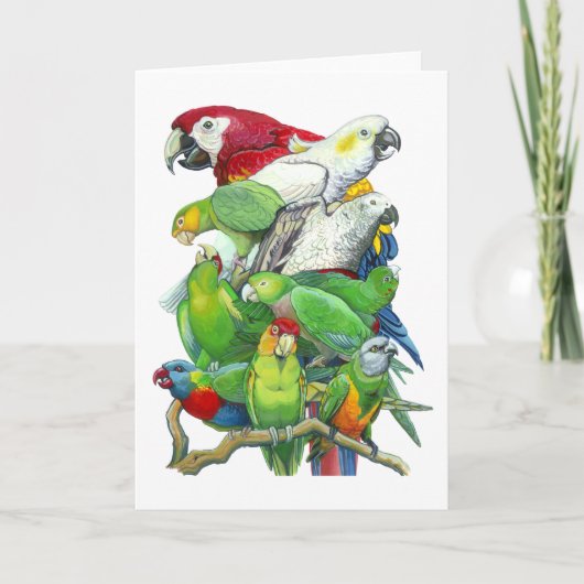 Parrots Greeting Card Kaart (Voorkant)