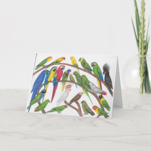 parrots la carte de voeux (Devant)