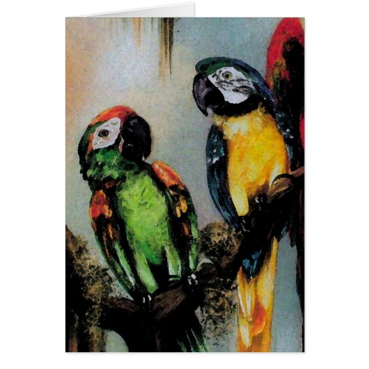 Parrots parlants ~ Carte (Devant)