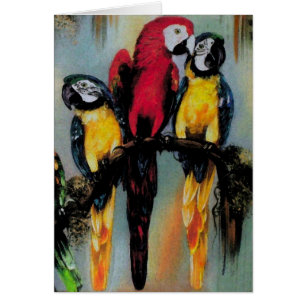 Parrots parlants ~ Carte