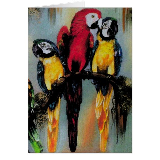 Parrots parlants ~ Carte (Devant)