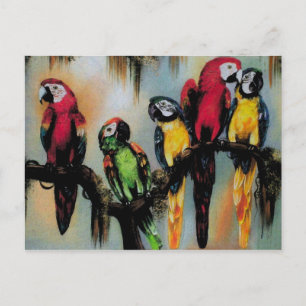 Parrots parlants ~ Carte postale Oiseau Nature sau