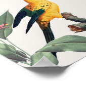 Parrots Poster (Hoek)