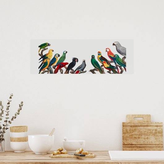 Parrots Poster (Keuken)