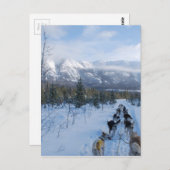 ParrotSleds — Landschap Briefkaart (Voorkant / Achterkant)