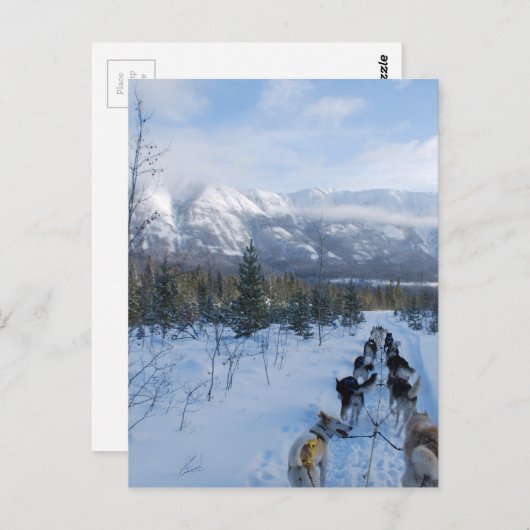 ParrotSleds — Landschap Briefkaart (Voorkant / Achterkant)