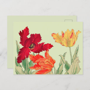 Parrottulp, Floral Briefkaart