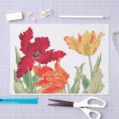 Parrottulp, ontkoppeling van Floral Tissuepapier (Craft)