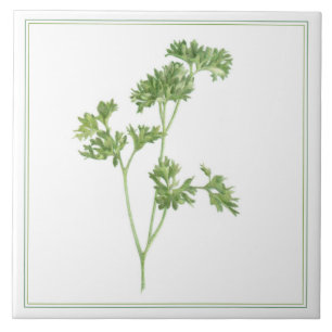 PARSLEY 6x6 FRAIS Carreaux en céramique (-texte)