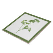 PARSLEY 6x6 FRAIS Carreaux en céramique (-texte ve (Côté)