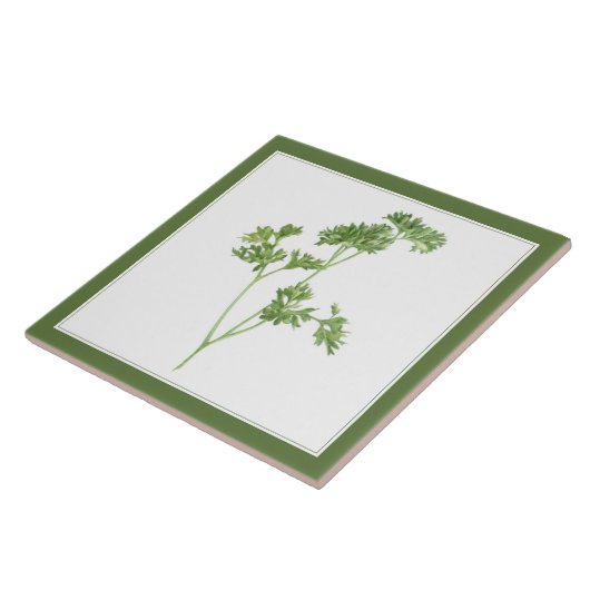 PARSLEY 6x6 FRAIS Carreaux en céramique (-texte ve (Côté)