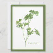 PARSLEY FRAIS 6,5x8,75 Carte plate / Vert (Devant)