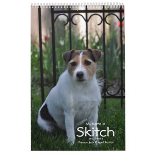 Parson Jack Russell Terrier Dog Calendar van Janz Kalender
