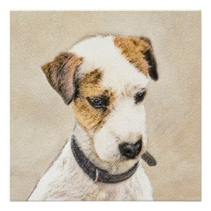 Parson Jack Russell Terrier Painting - Dog Art Perfect Poster