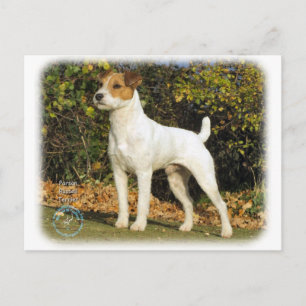 Parson Russell Terrier 9T016D-223 Briefkaart
