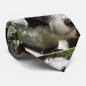 Parson_Russell_Terrier.png Stropdas (Opgerold)