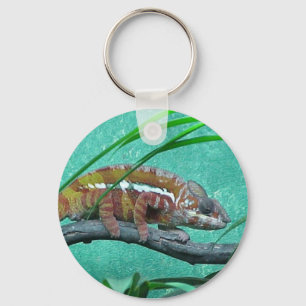 Parson's Kameleon Sleutelhanger