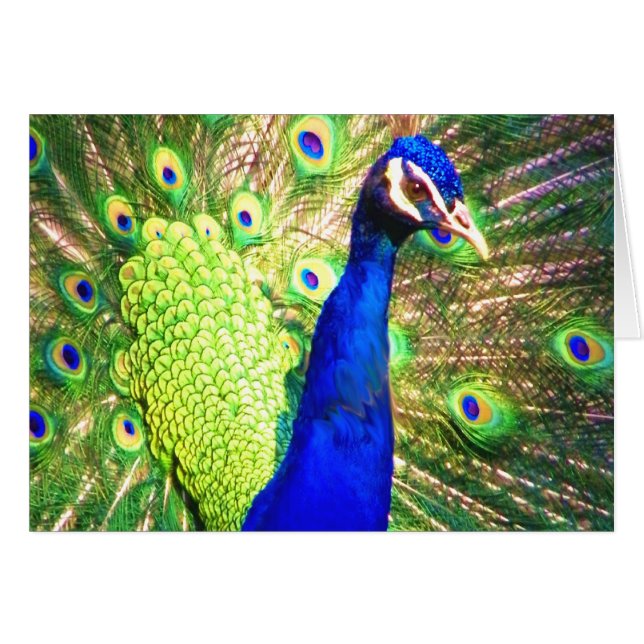 Partagez L'Amour (Devant horizontal)