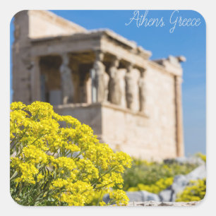 Parthenon-tempel met veerbloemen vierkante sticker