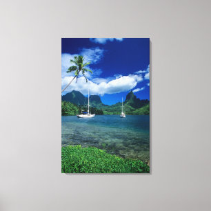 Particuliere jachten voor anker in de baai van Opu Canvas Afdruk