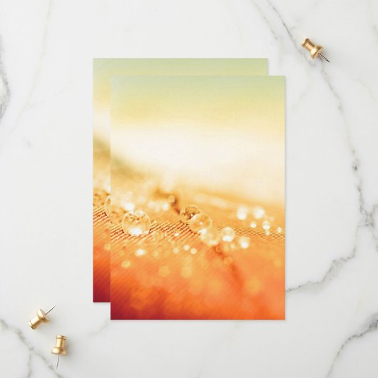 Partie Enregistrer les cartes de dates |  | Glisse