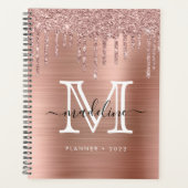 Parties scintillant brossé Rose métal or Monogram (Devant)