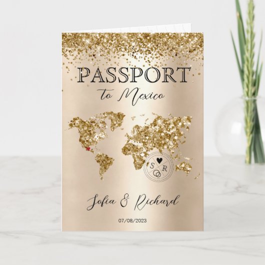 Parties scintillant Carte du monde de passeport de (Devant)