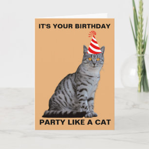 PARTIJ ALS EEN CAT BIRTHDAY-KAART KAART