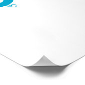 Partij als een SKYDIVER! Poster (Hoek)