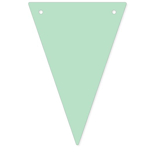  Partij Bunting Banner (Tweede vlag)