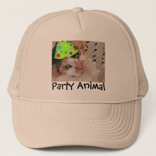 Partij dier/Calico Cat Trucker Pet