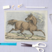  partij of vaartuig tissuepapier (Craft)