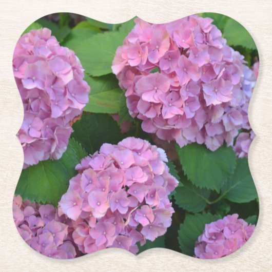 PARTIJ Pink Hortensia hydrangea Kartonnen Onderzetters (Voorkant)