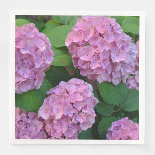 PARTIJ Pink Hortensia hydrangea Servet (Voorkant)