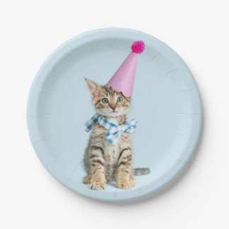 PARTIJ Tijd Cupcake Birthday Kitten Celebration Papieren Bordje