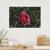 Parting Gift Print winter (Keuken)