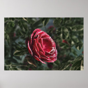 Parting Gift Print winter