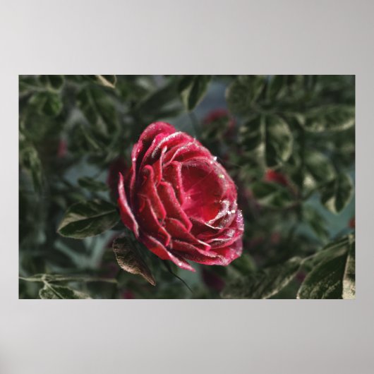 Parting Gift Print winter (Voorkant)