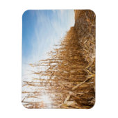 Partly Harvested Corn Field Magneet (Verticaal)
