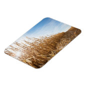 Partly Harvested Corn Field Magneet (Linkerzijde)