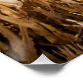 Partly Harvested Corn Field Perfect Poster (Hoek)