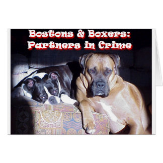 Partners in criminaliteit