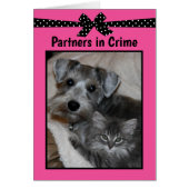 "Partners in criminaliteit" (Voorkant)