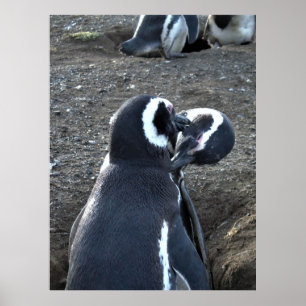 Partners voorbereiden poster