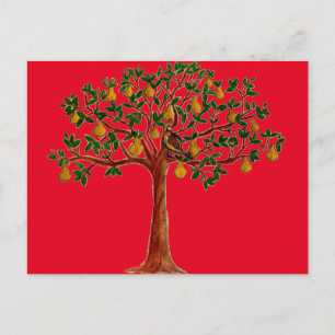 Partridge 2 dans une poire Cartes postales