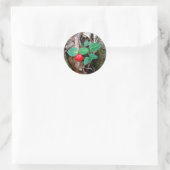 Partridge Berry Wildflower Ronde Sticker (Tas)