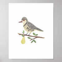 Partridge in een perenboom